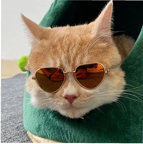 משקפי שמש של חתול פרויני בצורת לב וינטג 'וינטג' עין ללבוש רטרו רטרו שקוף משקפיים ללא קרקע משקפי שמש