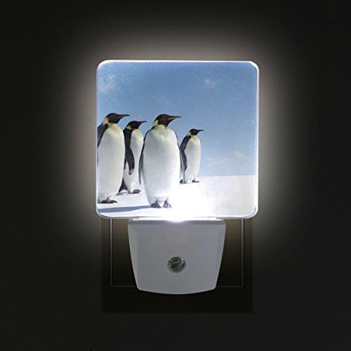 סט ננלה של 2 פינגווין קיסר בקוטב הדרומי עם חיישן אוטומטי שמיים כחולים הוביל בין ערביים לשחר לילה אור