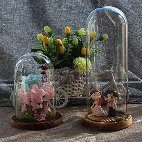 Anncus זכוכית יצירתית בסיס מעץ מלא בסיס זכוכית שקופה מיקרו נוף מגורים פרחים אחסון קופסת מארגן מארגן