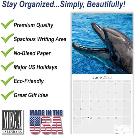 2022 2023 לוח השנה של דולפינים - לוח חמוד חמוד של חיות יומן קיר חודשי - 12 x 24 פתוח - נייר עבה ללא