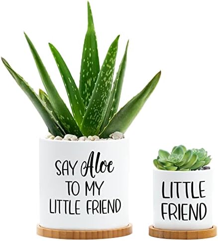 Tuitessine תגיד אלוורה לחברתי הקטנה אדנית חובב צמחים סט של 2 מעיין אביב משחקי משחק מצחיקים עציץ עם מגש