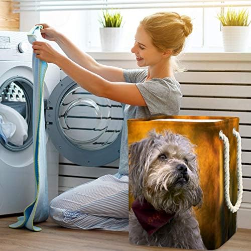מפולו כביסת חמוד כלב מתקפל פשתן כביסה אחסון סל עם ידיות להסרה סוגריים גם מחזיק עמיד למים עבור בגדי צעצועי