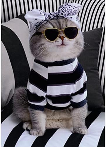 Avanti Press Cat לובש בנדנה, גוונים וסוודר מפוספס על ספה מפוספס