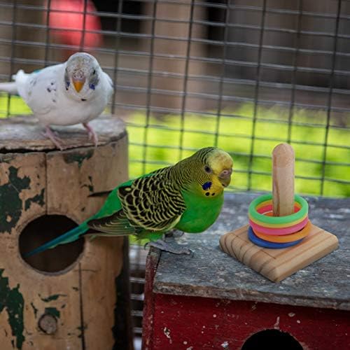 Popetpop Bird תוכי צעצוע טבעת ציפורים זורקים משחק תוכי צעצועים אימוני ציפור צעצועים לקצץ צעצועים לעיסת