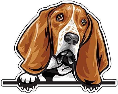 WickedGoodz Basset Hound Mancal Vinyl - מדבקה פגוש גזע כלבים - למחשבים ניידים כובעים חלונות מכוניות