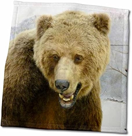 3 דרוז פלורן טבע ובעלי חיים - דוב חום גדול - מגבות