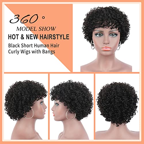 8 קצר האפרו מתולתל שיער טבעי פאות לנשים שחורות קינקי מתולתל מלא ראש פאה עם שיער פוני למראה טבעי