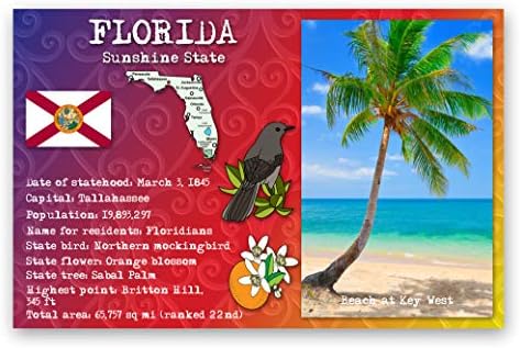 פלורידה מדינת עובדות גלויה סט של 20 גלויות זהות. כרטיסי דואר עם עובדות פלורידה וסמלי מדינה. תוצרת ארצות